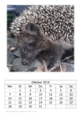 Oktober_Igel.pdf